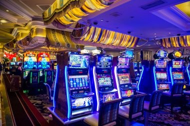 tevi Wild Coaster live-dealer studio with professional croupier and multi-camera setup